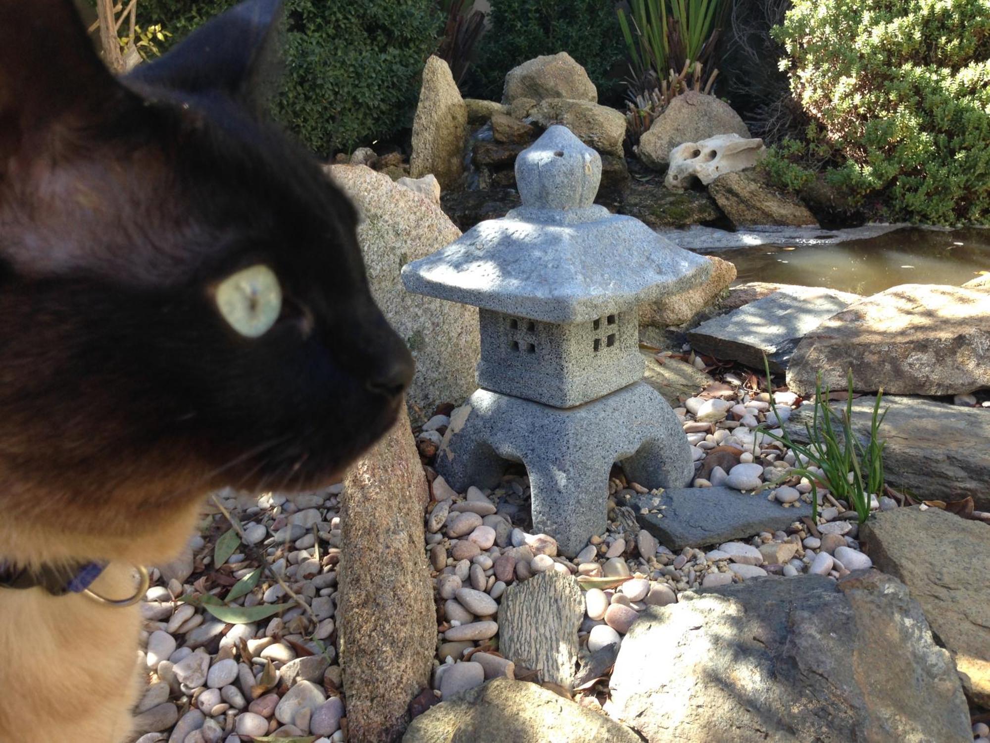 Buendía La Pena Del Gatoヴィラ エクステリア 写真